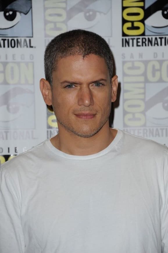 Fashion Wentworth Miller