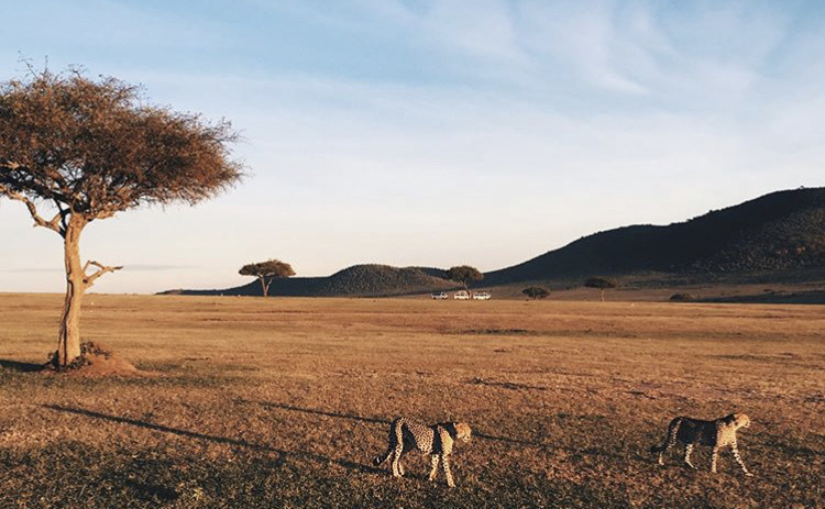 Place Maasai Mara National Reserve