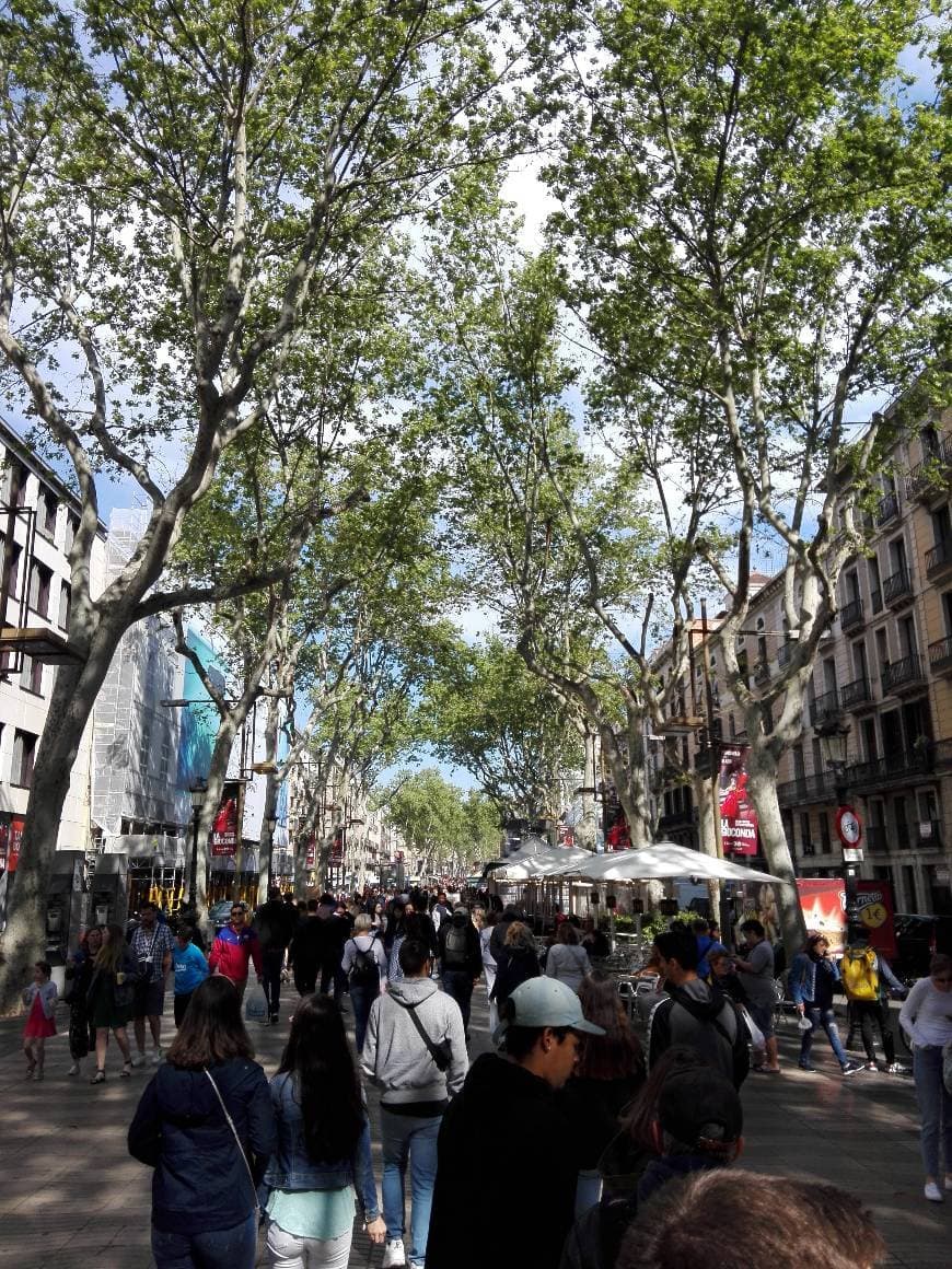 Restaurants Las Ramblas st