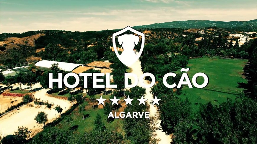 Lugar Hotel do Cão Algarve