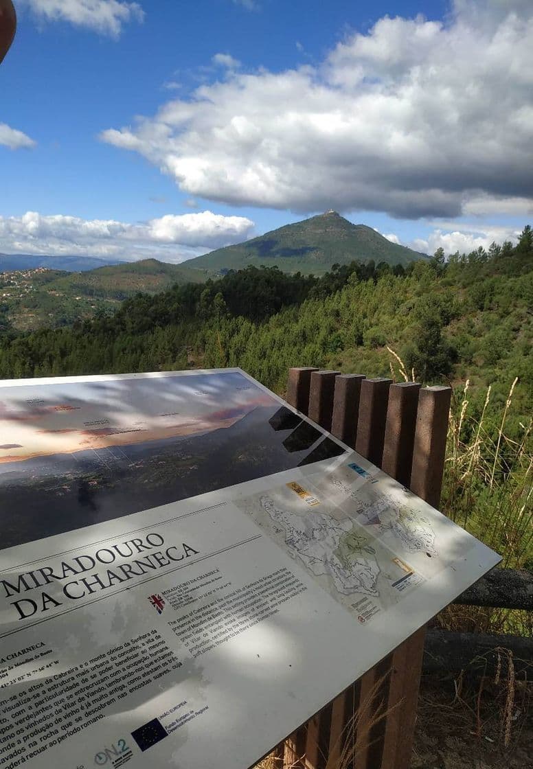 Lugar Miradouro de Charneca