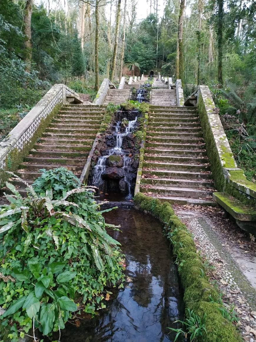 Lugar Mata Nacional do Buçaco