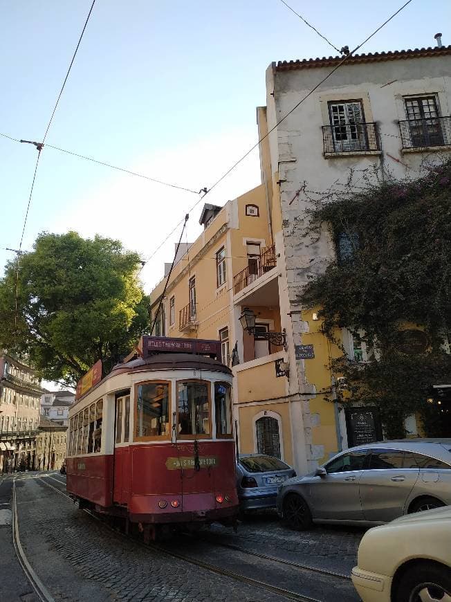 Lugar Rua do Limoeiro