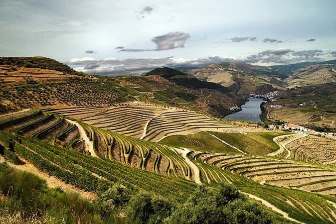 Lugar Douro Vinhateiro