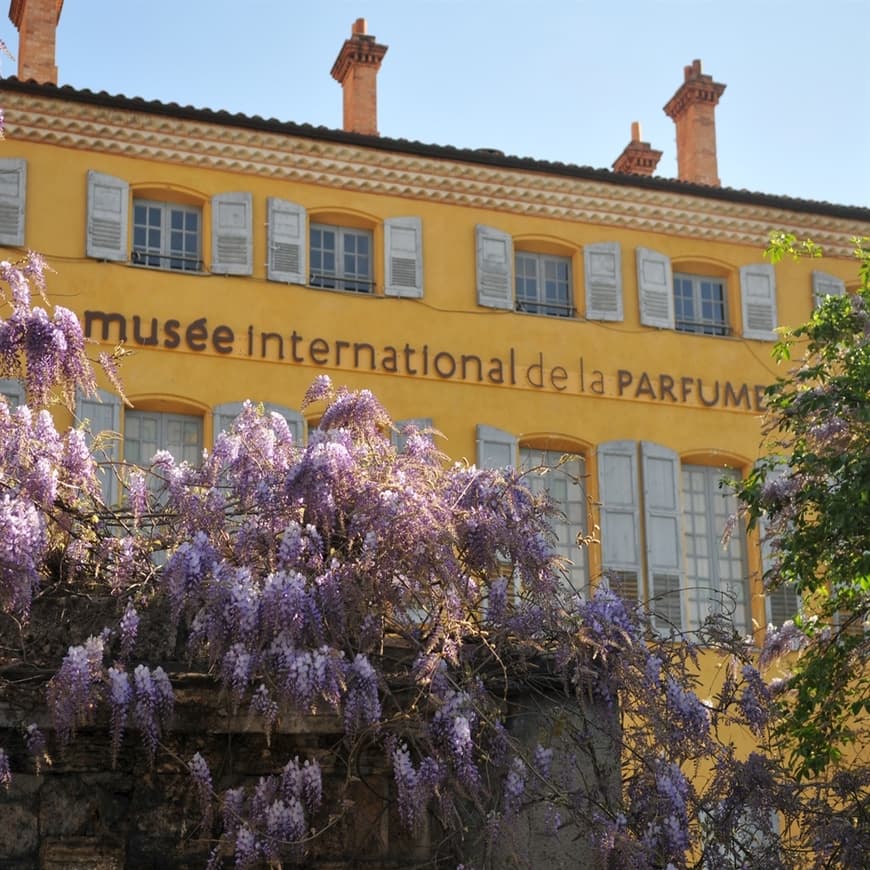 Lugar Musée International de la Parfumerie