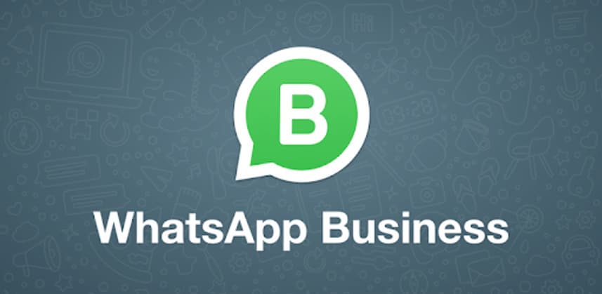 App WhatsApp Business 