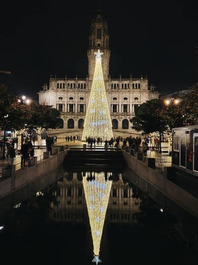 Place Avenida dos Aliados Porto