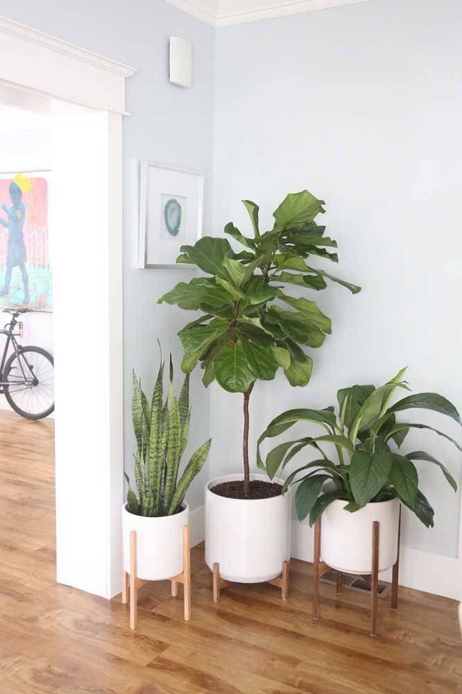 Moda Decoração de interiores 🌱