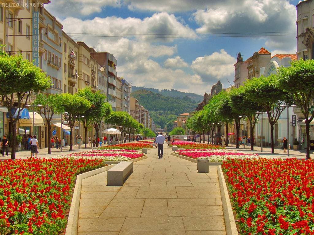 Lugar Avenida da Liberdade