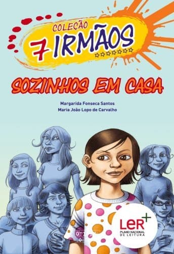 Book Sozinhos em Casa - 7 Irmãos