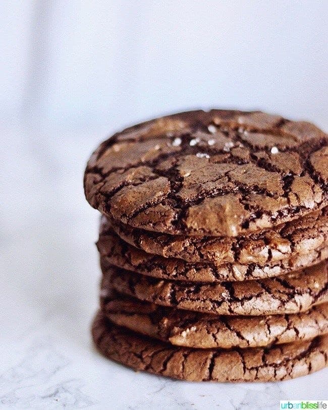 Moda Chocolate Fudge Cookies