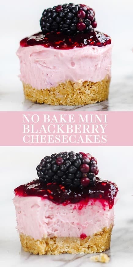 Moda Mini Blackberry Cheesecake 