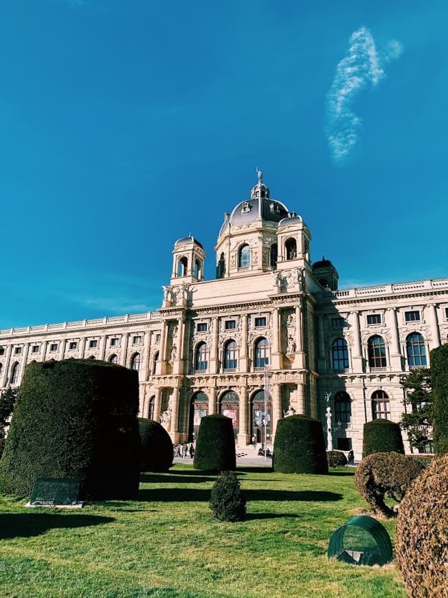 Lugar Hofburg Palace Silver Collection of Vienna