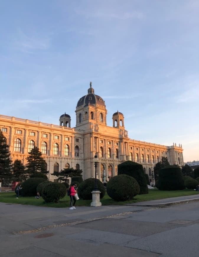 Place Centro histórico de Viena