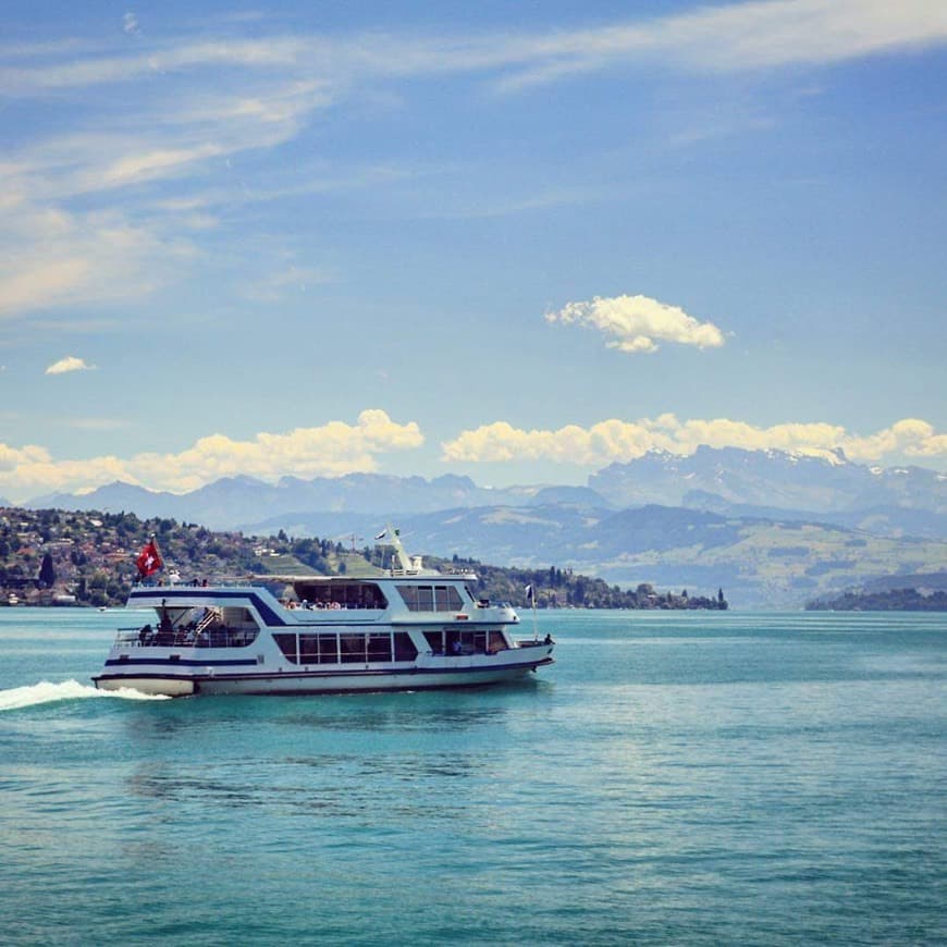 Place Lake Zurich