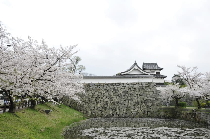 Place Fukuoka Castle