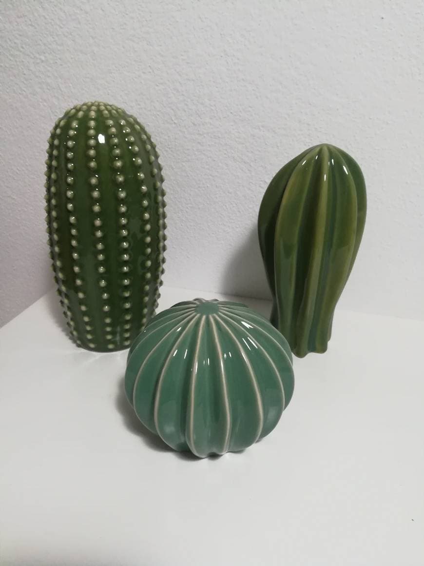 Product Conjunto cactus