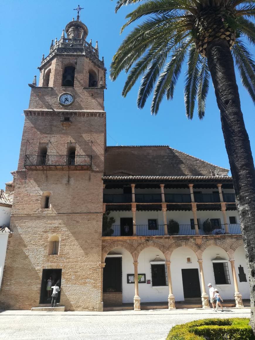 Place Iglesia de Santa María la Mayor