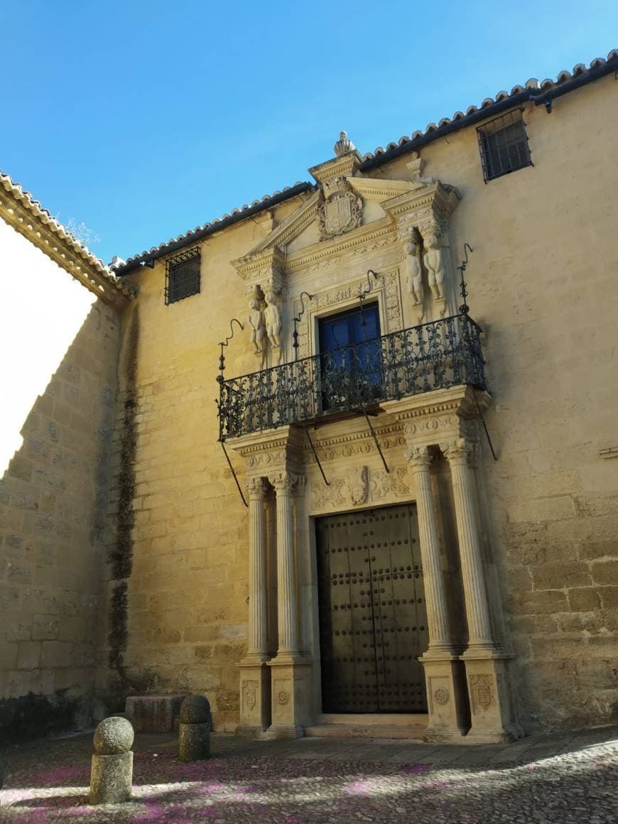 Place Palacio de Salvatierra