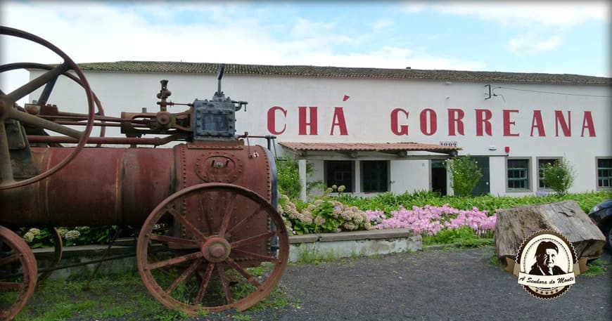 Place Fabrica de Chá da Gorreana