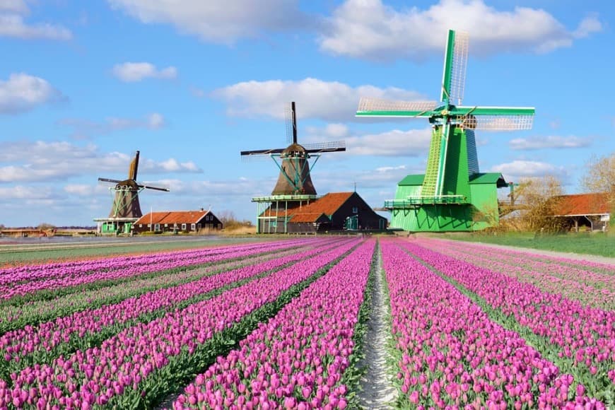 Lugar Zaanse Schans