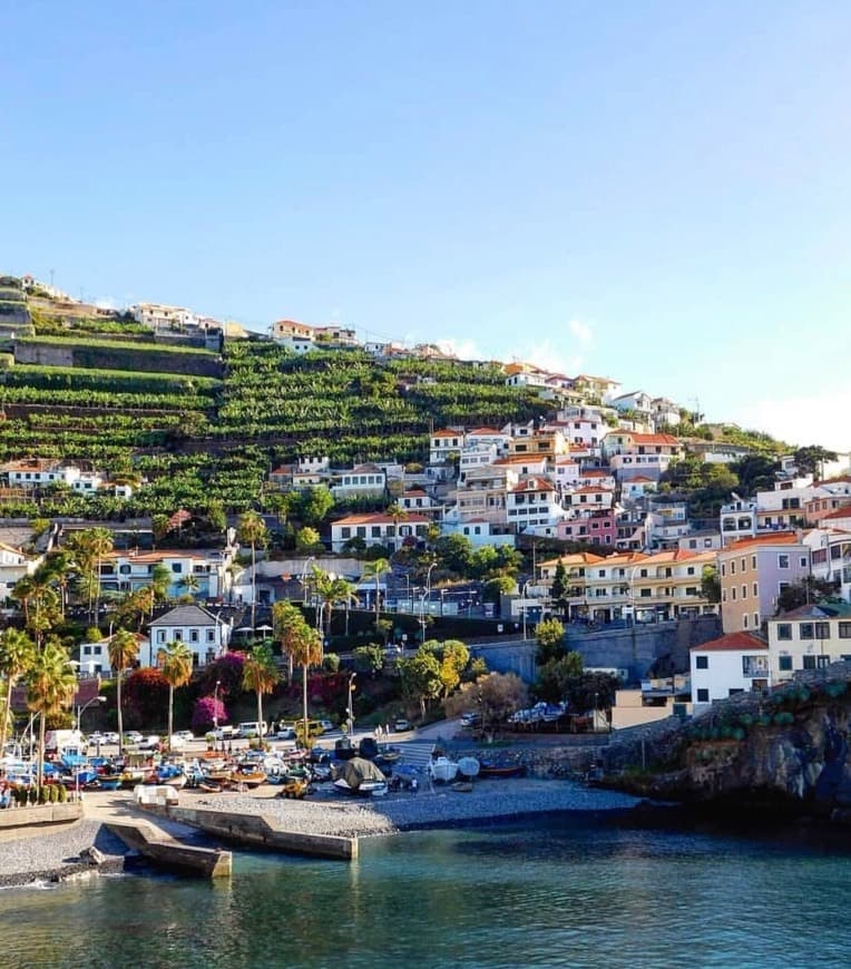 Place Câmara De Lobos