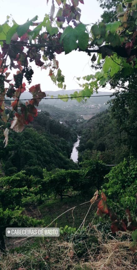 Lugar Cabeceiras de Basto