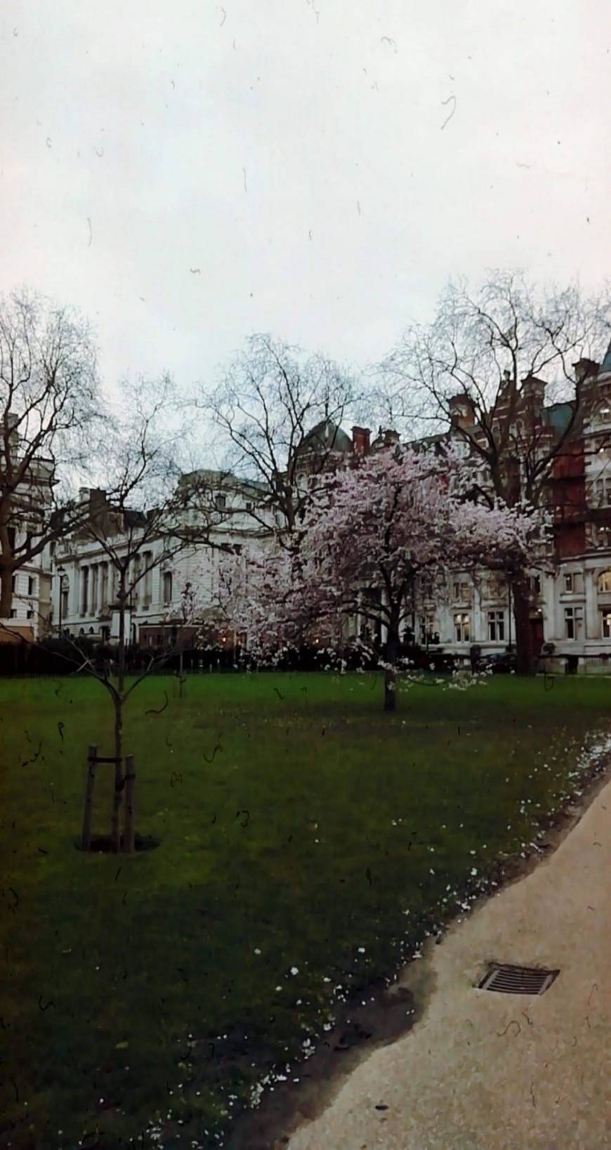 Place St. James's Park