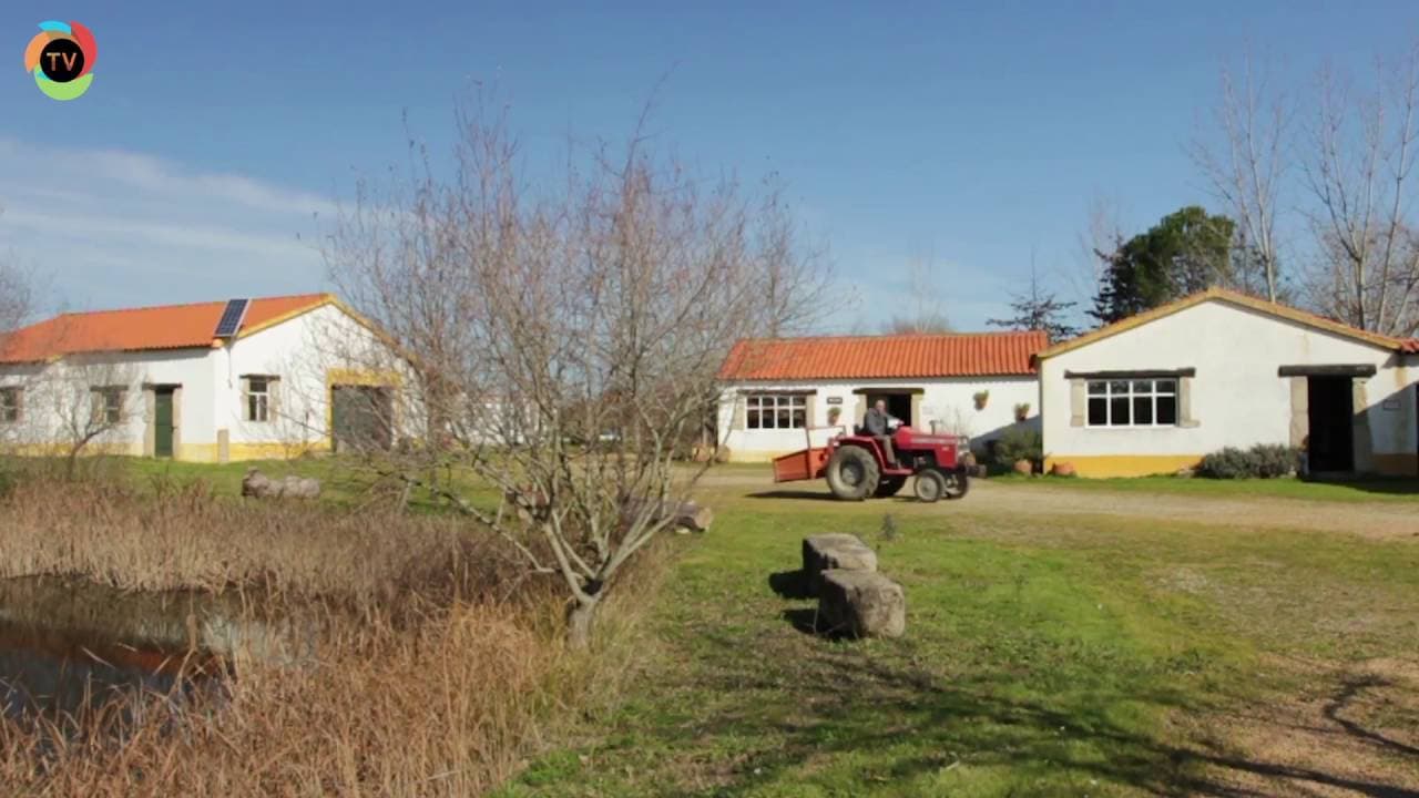 Lugar Quinta dos Trevos-Turismo Rural e Artesanato