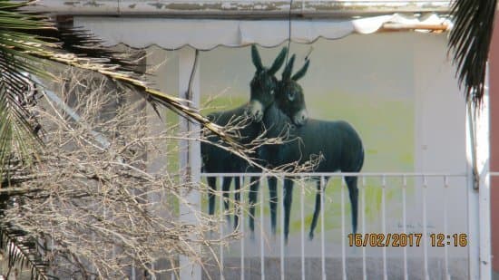 Lugar Casa de Burros