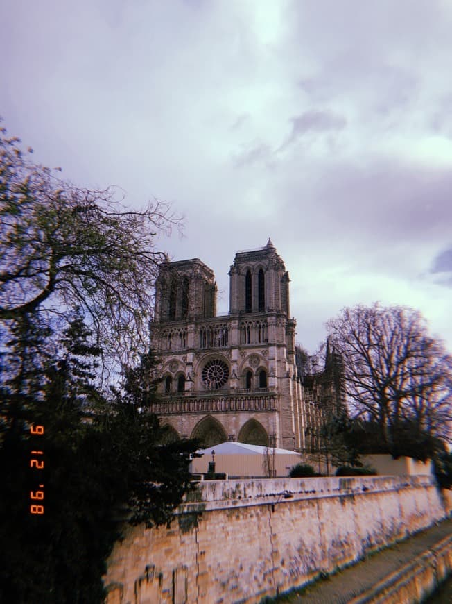 Place Notre Dame