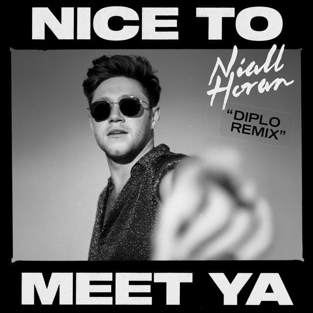 Music Nice To Meet Ya - Diplo Remix