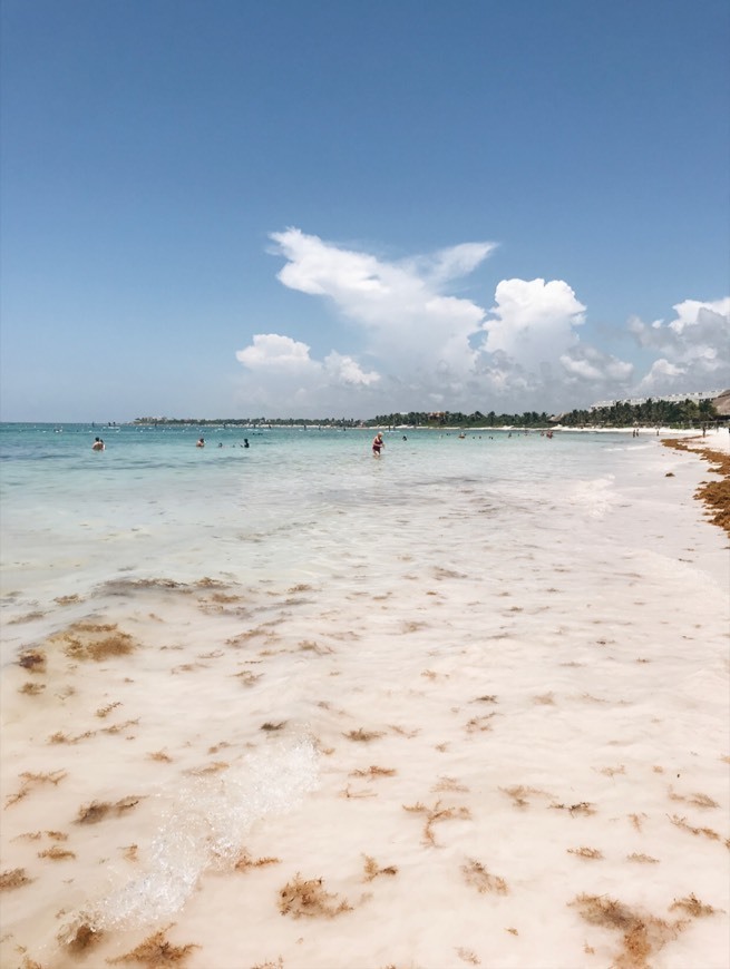 Lugar Playa del Carmen