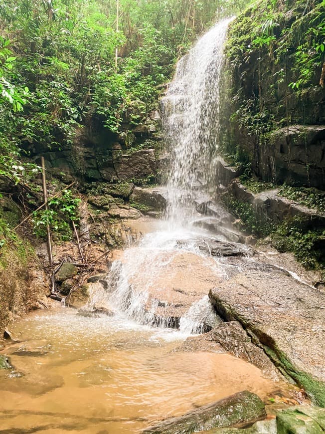 Lugar Floresta da Tijuca