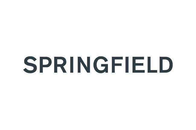 Fashion Springfield 