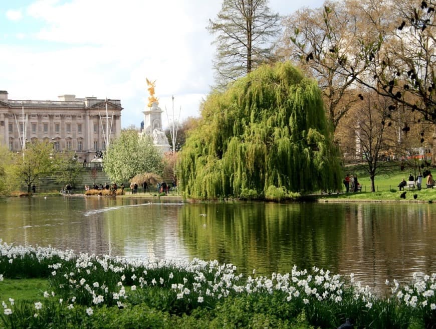 Lugar St. James's Park