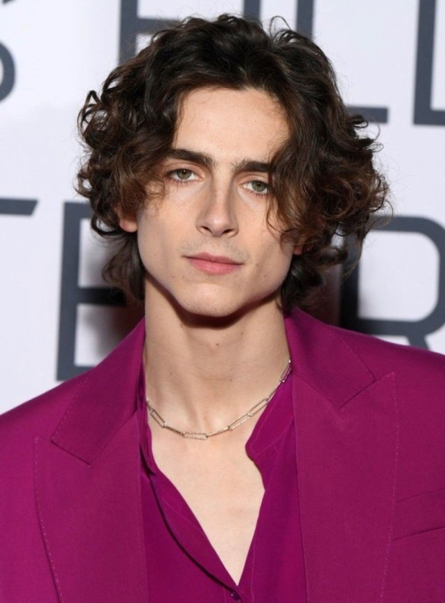 Fashion Timothé Chalamet 