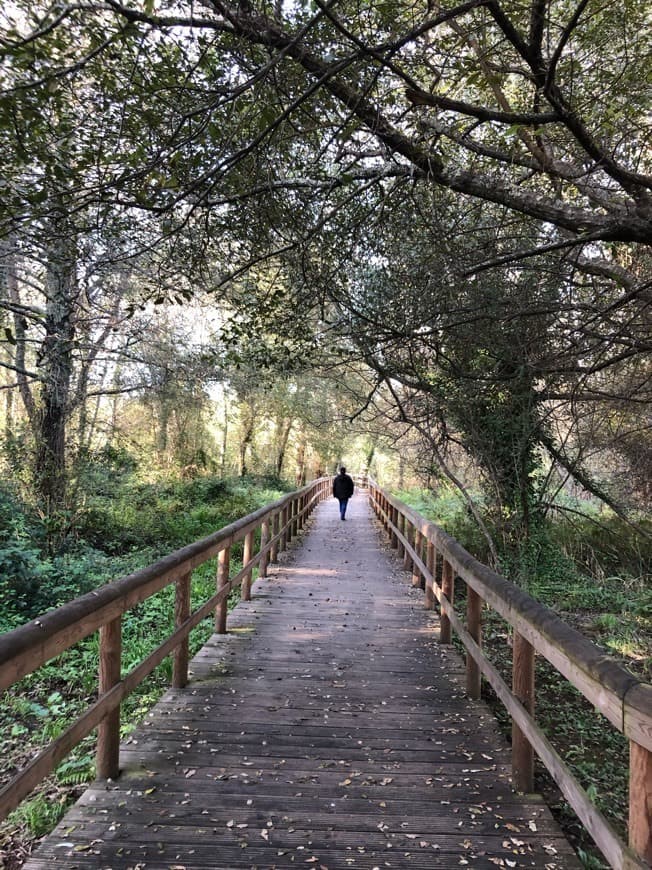 Lugar Passadiços de Fiães (Parque das Ribeiras)