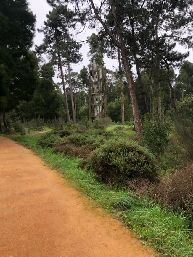 Lugar Buçaquinho Park