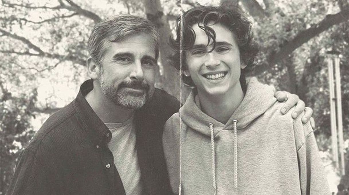 Película Beautiful Boy