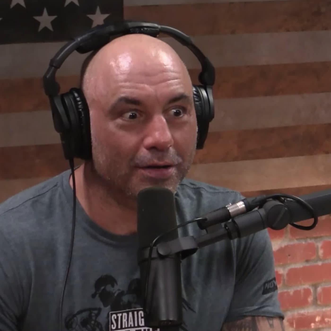 Moda Joe Rogan 