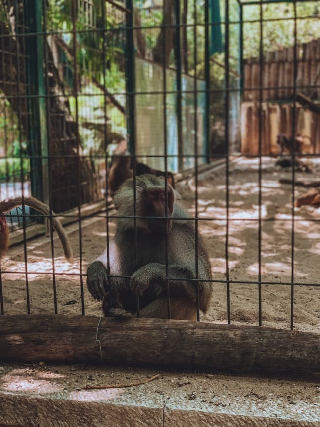 Lugar Jardim Zoológico de Lisboa