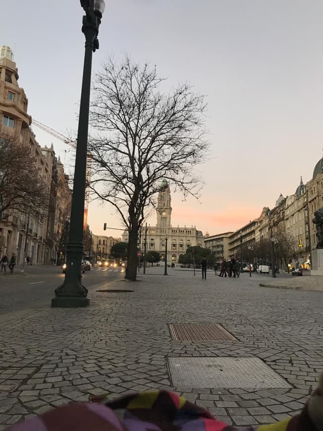 Place Avenida dos Aliados