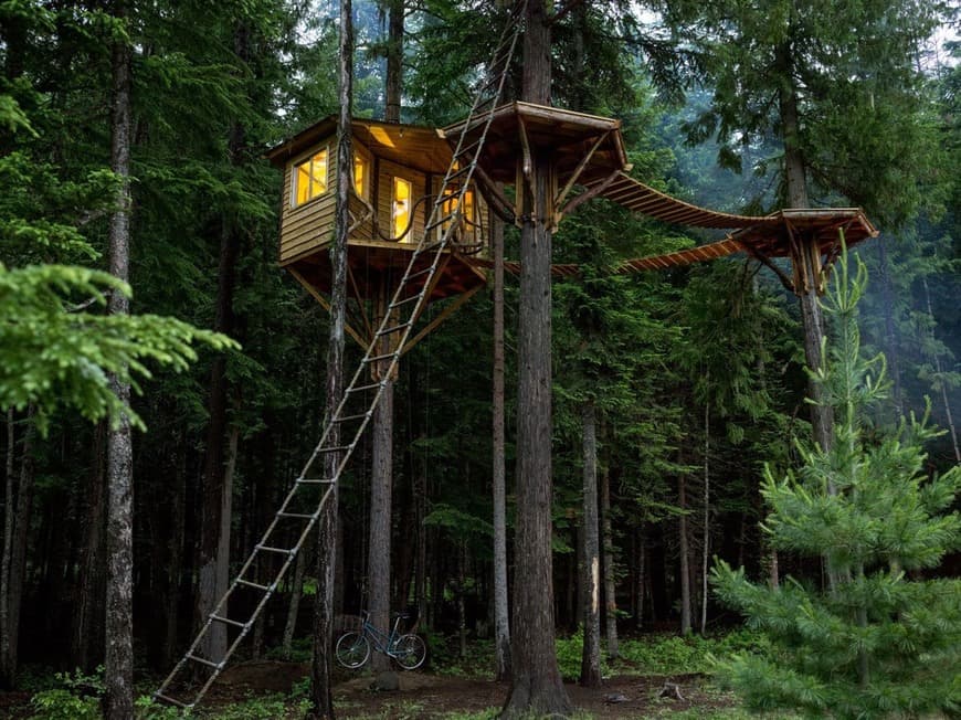 Moda Tree house 