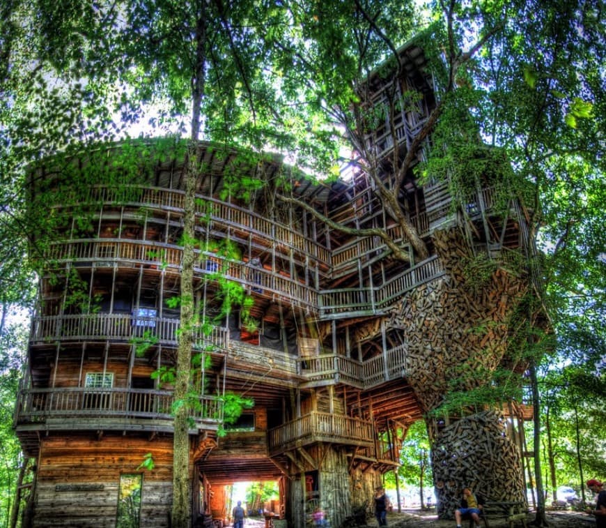 Moda Tree house