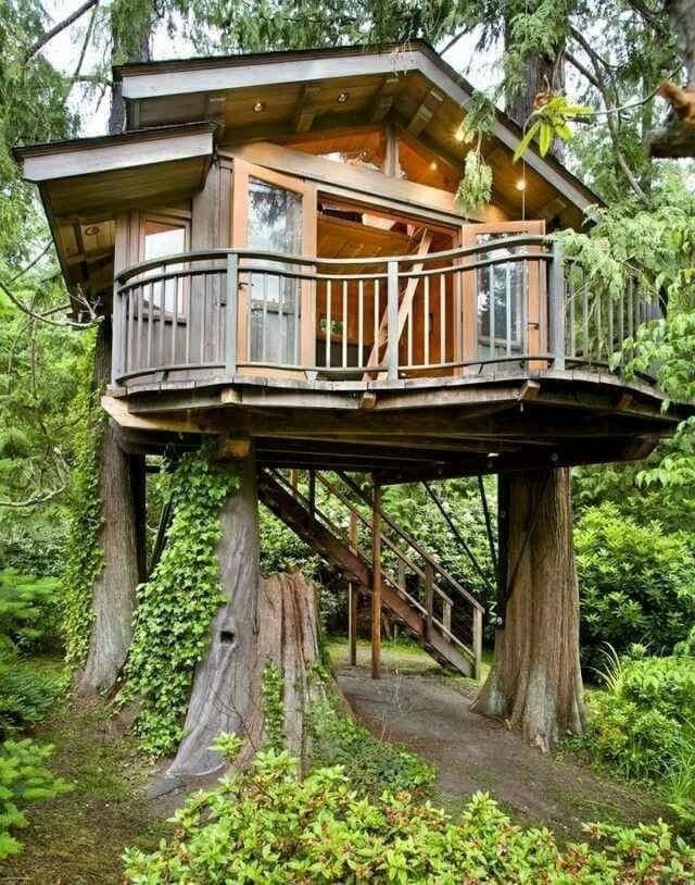 Moda Tree house