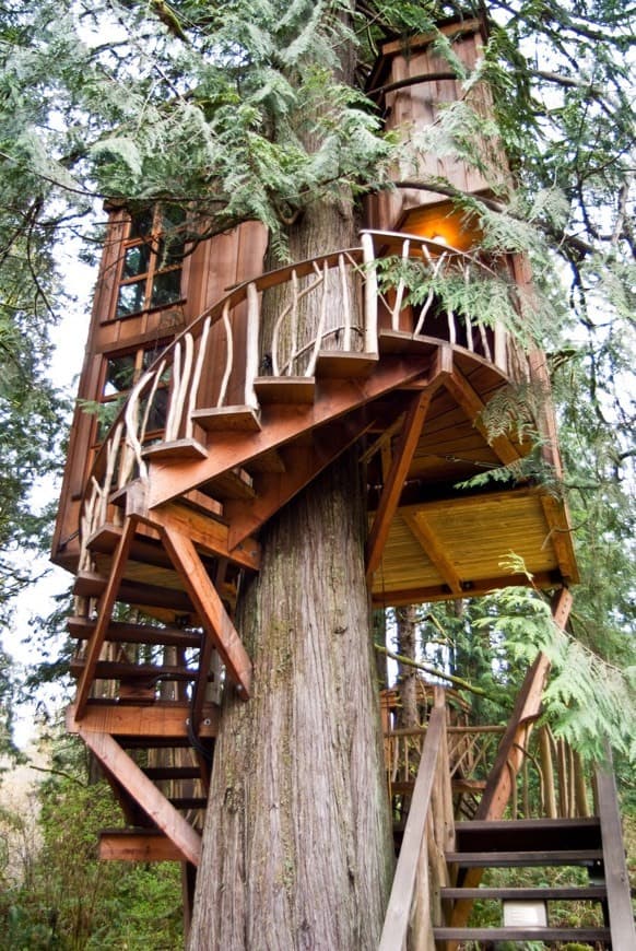 Moda Tree house 