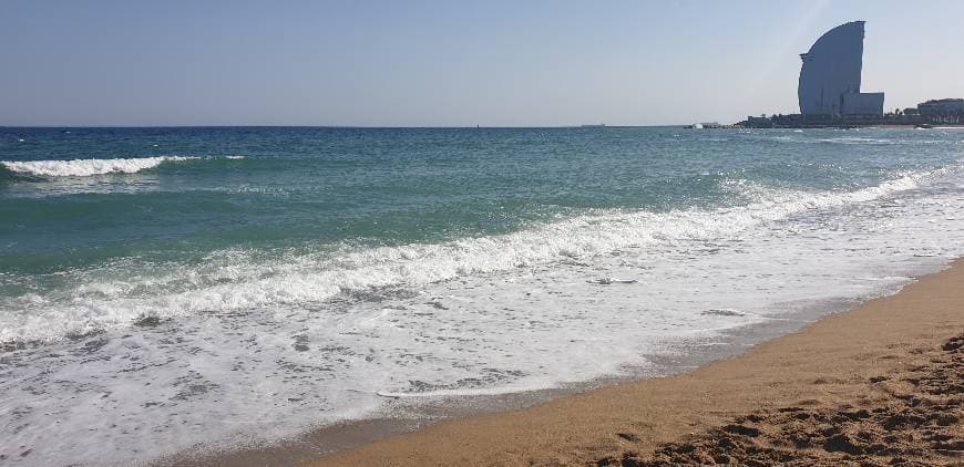 Lugar Playa barceloneta