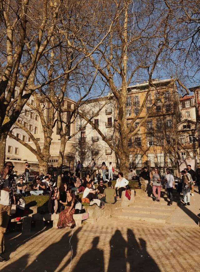 Lugar Jardim das virtudes