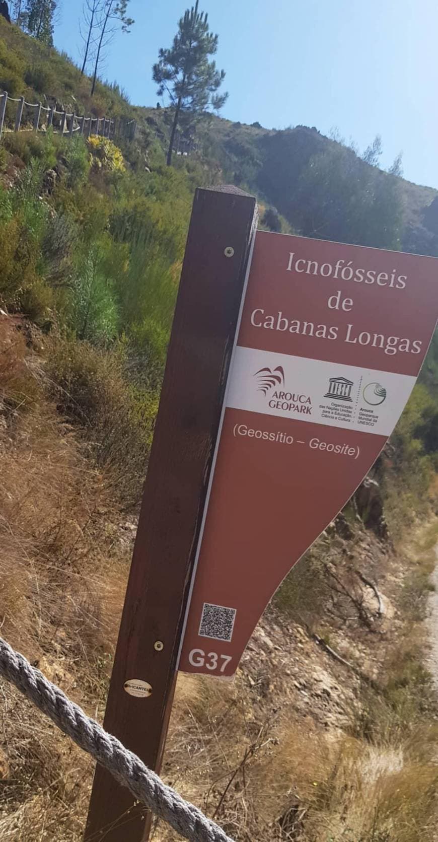 Place Icnofósseis de Cabanas Longas